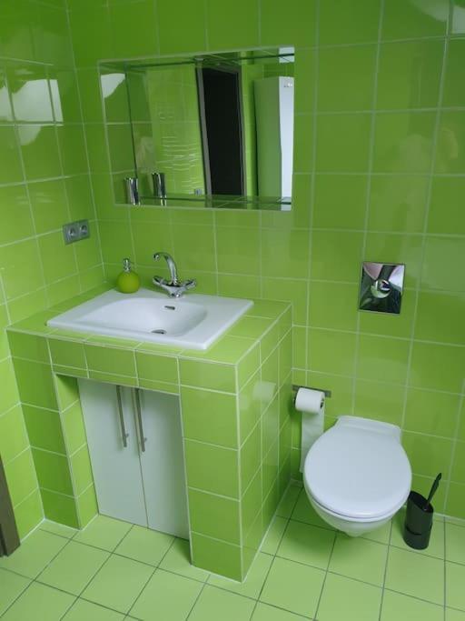 Apartman Radcice 70M2 V Rodinne Vile Liberec Zewnętrze zdjęcie